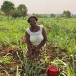 Two institutions sign MoU to promote growth of agric sector
