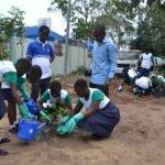 ?‘Plant more trees to protect the environment’