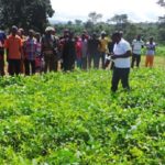 Bono Region agric extension officers  schooled