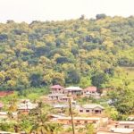 ‘Take drastic measures to save Kabakaba Forest Reserve’