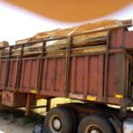 Sissala East Police impound truckload of Rosewood at Kasana
