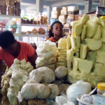 Shea butter processing factory to be built in Bongo District
