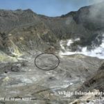 ?’No sign of life on New Zealand volcano island’