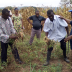 ?Small-scale farmers advised to ?sell their produce to GCX