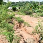 ‘Restore pontoon service at Tsyome-Sabadu’