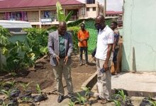 Mr Gyimah taking a prospective farmer round the demonstration farm at EKMA Agriculture office at Abembebom. pic 3 transplanted plantain. Pic 4 transplanted maize. pic 8 Mr Gyimah showing a matured cucumber. pic 9 matured maize. pic 10 Mr Gyimah(rt) taking Airforce staff round the demonstration farm.