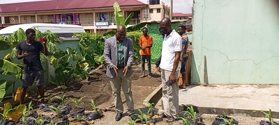 Mr Gyimah taking a prospective farmer round the demonstration farm at EKMA Agriculture office at Abembebom. pic 3 transplanted plantain. Pic 4 transplanted maize. pic 8 Mr Gyimah showing a matured cucumber. pic 9 matured maize. pic 10 Mr Gyimah(rt) taking Airforce staff round the demonstration farm.