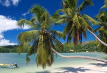 Seychelles is widely seen as an island paradise but many people live in poverty
