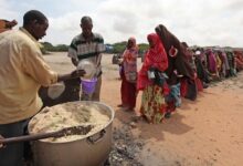 The extremely dire humanitarian situation in Somalia