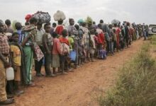 Some 1.7million people have been forced to flee their homes in Ituri