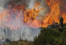 Forest fire rages across Kenya national park
