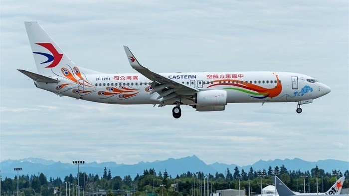The China Eastern Airlines Boeing 737-800 which crashed