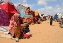 Somalians displaced by the drought