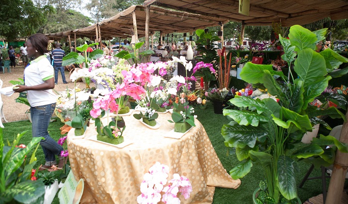 The Ghana garden and flower show