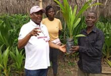 Mr Gyimah (left) presenting the seedlings to Mr Yankey