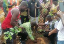 CHIEF OF JACHIE IN GREEN ATTIRE planting a tree