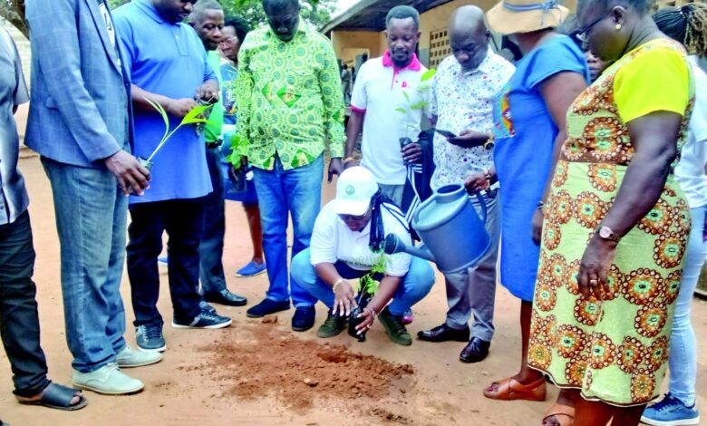 MrsAdjabeng planting a tree at the Madina One Cluster of Schools