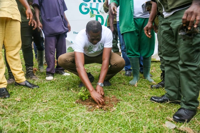 Mr Emmanuel Baidoo , planting a tree seedling