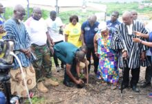 Dr Clifford Braimah, MD, Ghana Water Company planting a tree at the Weija Dam Site to mark the Green Ghana Day Photo Seth Osabukle