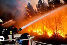 • Firefighters battling to control fires which have been destroyed more than 14,000 hectres of land in parts of France