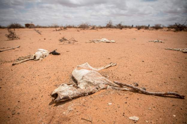 • Somalia is facing the worst drought in a decade