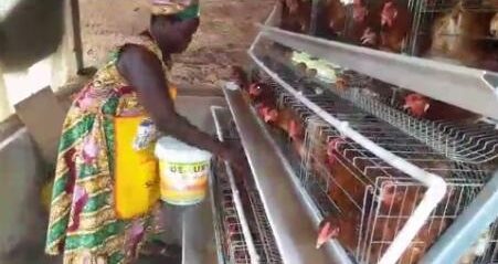 • One of the farmers feeding her birds