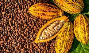 Cocoa is one of Ghana's export commodities