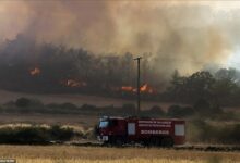 • Spanish train engulfed by fire near Bejis