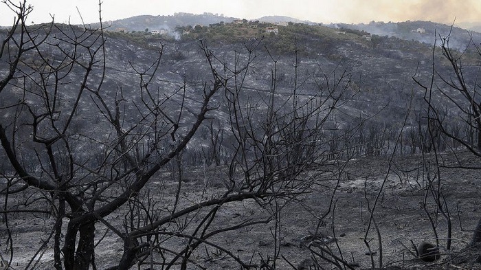 The devastation caused by separate forest fires in Tizi Ouzou, northern Algeria