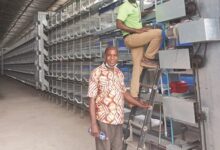 • Reverend standing by Ing Abdul-Kadr Shaibu installing the multi-dollar five-tier cage system