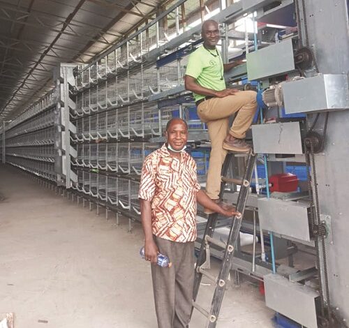 • Reverend standing by Ing Abdul-Kadr Shaibu installing the multi-dollar five-tier cage system