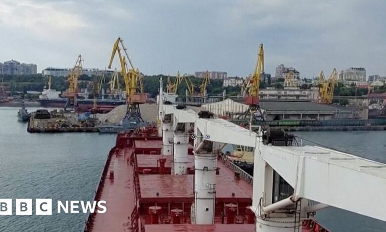 First ship carrying grain has left Ukrainian port under a landmark deal with Russia