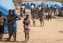 Many people in Burkina Faso have fled to camps for security