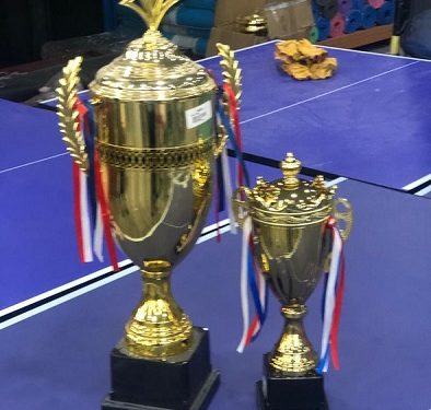 Trophies for the game