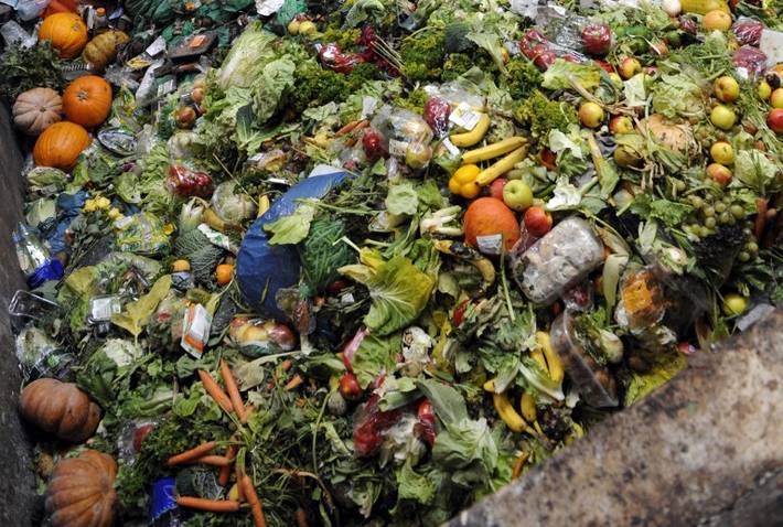 World wastes 1.6 billion tonnes of food – FAO report
