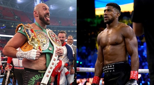 Fury (left) and Joshua may not fight now