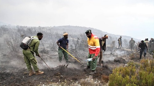 Firefighters tackle blaze on Tanzania mountain