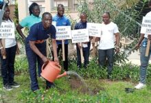 Mr Lugey planting a tree on behalf of the Minister of Communications and Digitalisation, Mrs Owusu-Ekuful to mark the World Post Day 2022