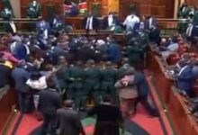 The scuffle in Parliament