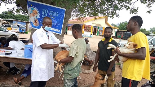 A veterinary officer (in white attire) vaccinating a dog at Jubilee Park in Bolgatanga