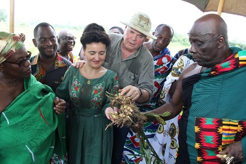 Inset; Mr Bühler (second from right) showing Osagyefuo Ofori Panin ginger being cultivated on a farm.
