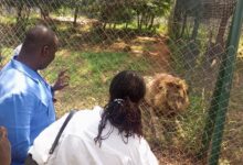 • Mr Jinapor (left) and an official of the Commission at the zoo