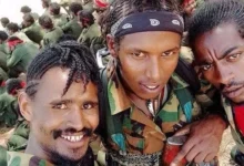 • Deep crisis has engulfed Ethiopia, with conflict in the vast Oromia region