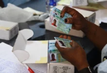 • An official of the INEC sorts out Permanent Voter Cards