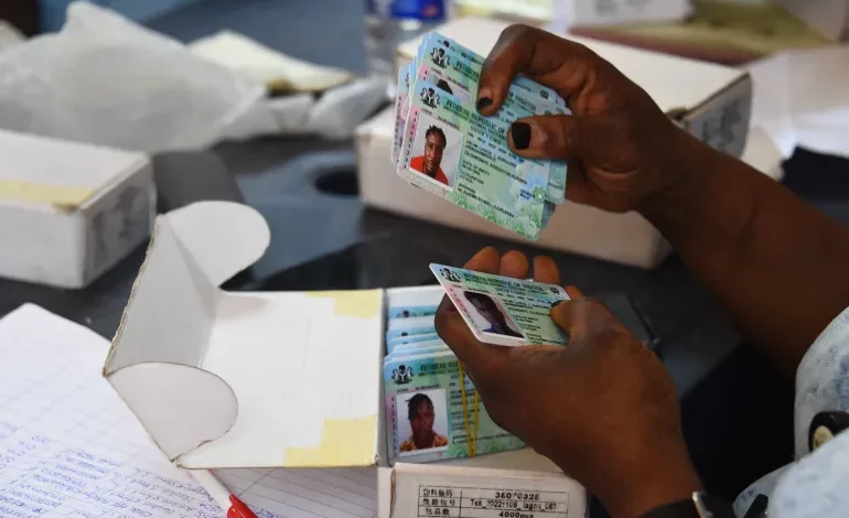 • An official of the INEC sorts out Permanent Voter Cards