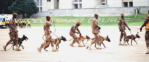 • Prison personnel with the sniffing dogs