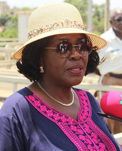 Madam Cecilia A. Dapaah,Minister of Sanitation and Water Resources