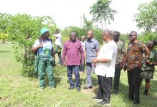 • Mr Owusu-Bio (second from left)with offcials of the Ministry and Forestry Commission at the tour Photo: Anita Nyarko-Yirenkyi