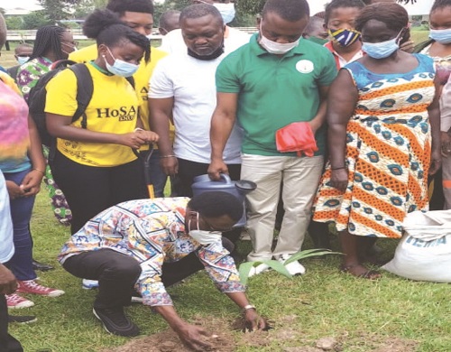• Nana Dwomoh Sarpong planting a coconut seedling during the programme