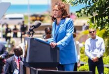 • Vice President Kamala Harris (inset) addressing the public at the programme Photo: Victor A. Buxton